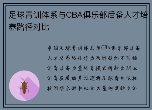足球青训体系与CBA俱乐部后备人才培养路径对比
