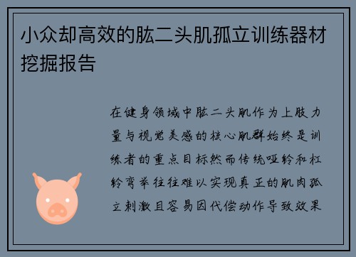 小众却高效的肱二头肌孤立训练器材挖掘报告