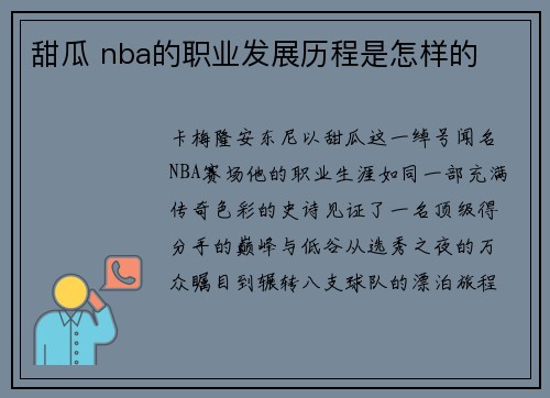 甜瓜 nba的职业发展历程是怎样的